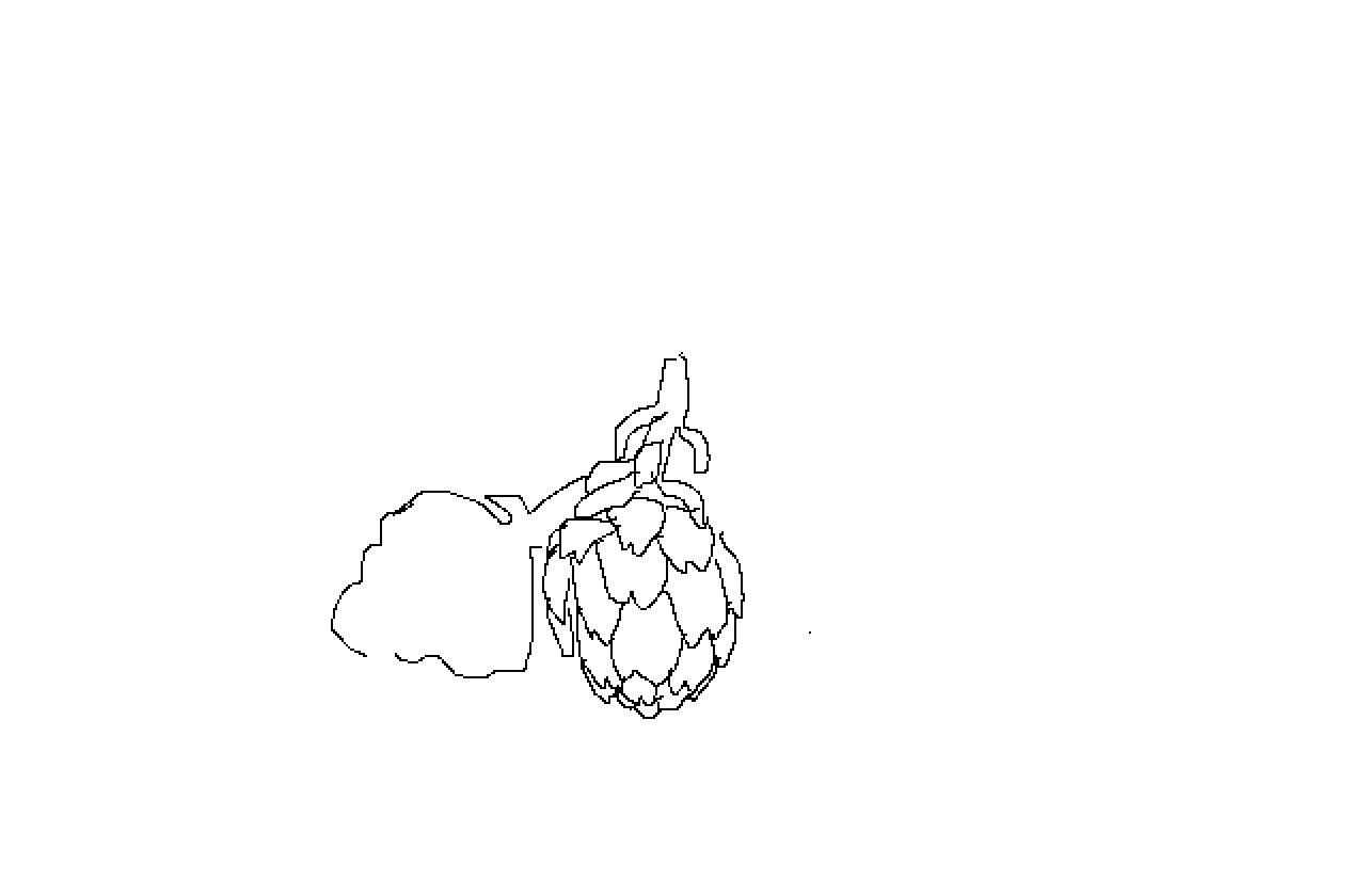 #1022 Globe Artichoke