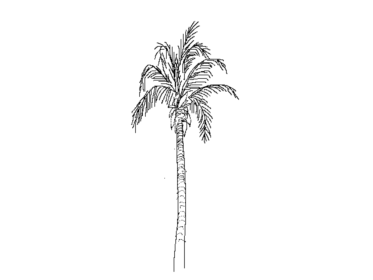 #1219 Palm