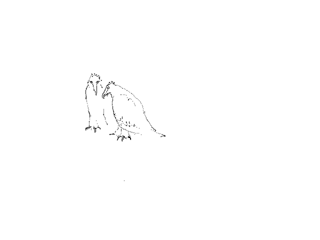 #1223 Two Bearded Vultures