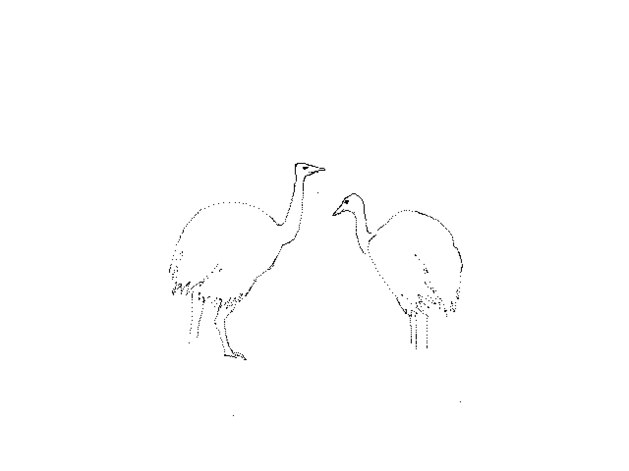 #1226 Two Ostriches