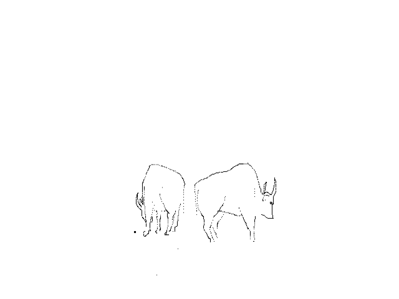 #1227 Two Gaur (Indian Bison)