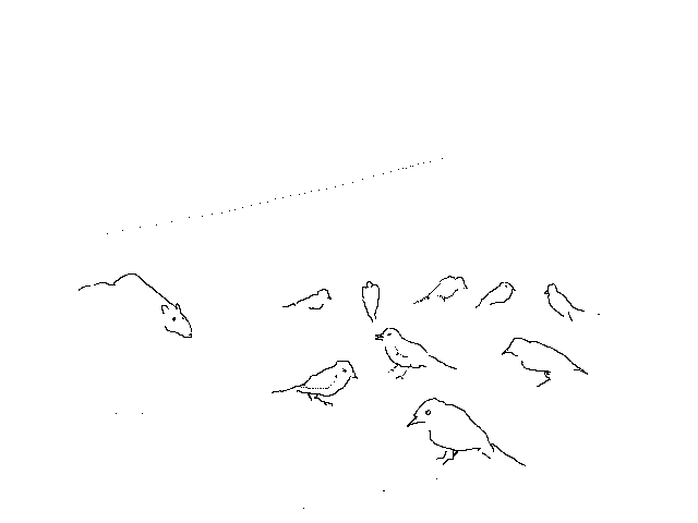 #1291 Nine Sparrows & A Rat