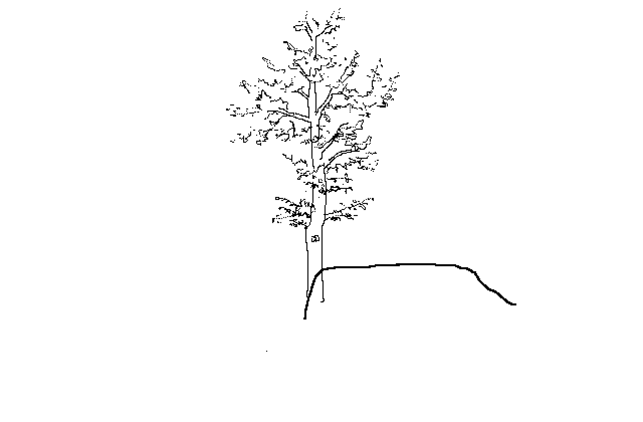 #1005 German Tree